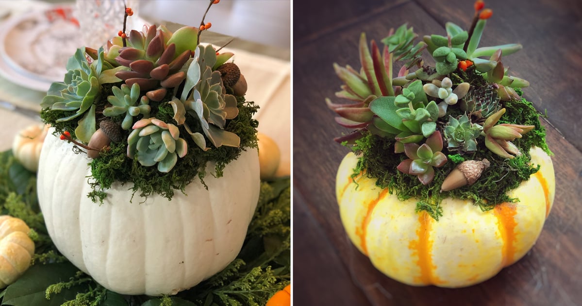 this-is-your-sign-to-diy-a-succulent-pumpkin-for-fall
