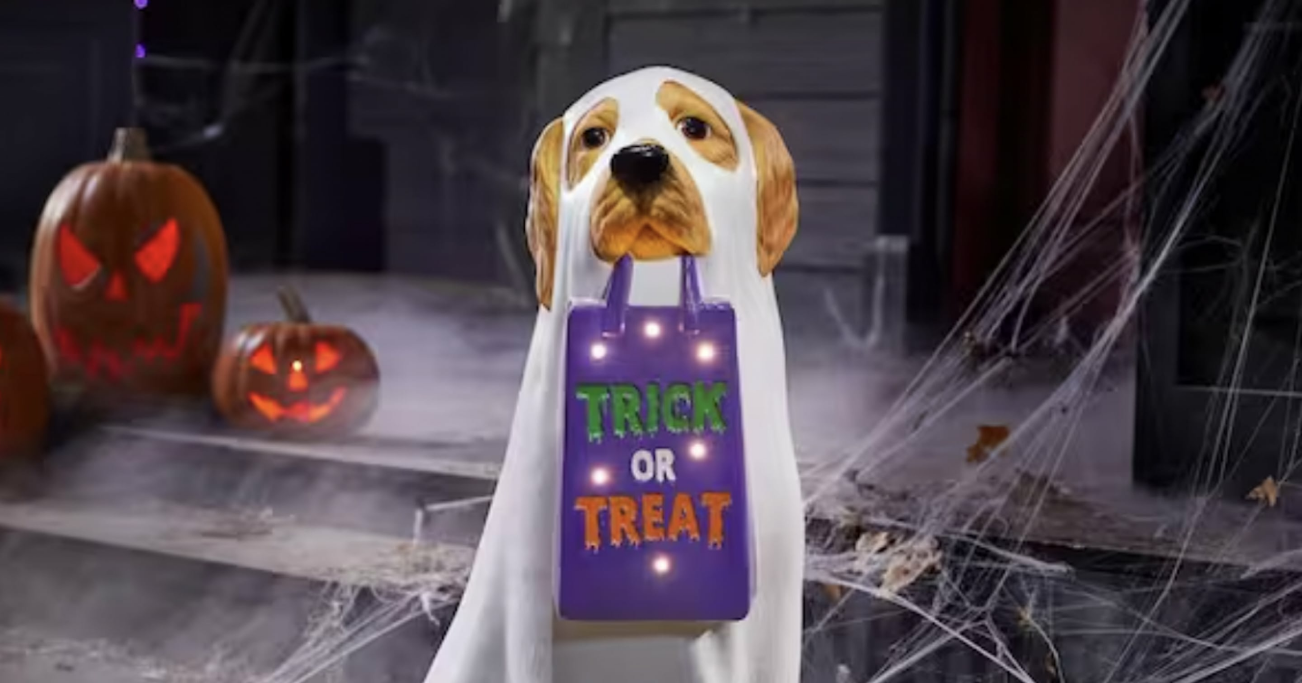 shop-the-life-size-golden-retriever-ghosts-tiktokers-are-painting-for-halloween