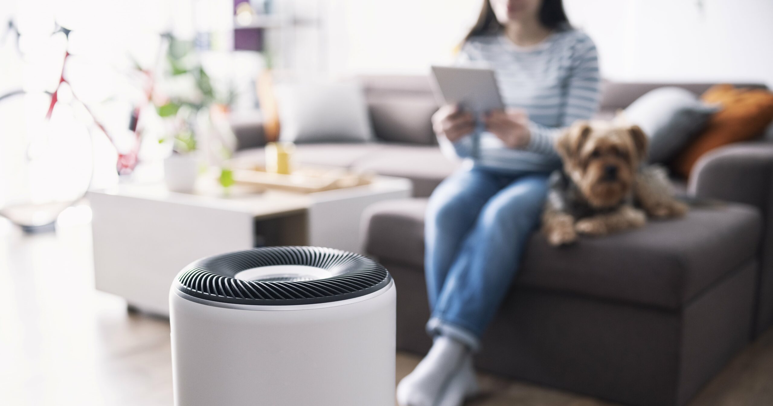 the-12-best-air-purifiers-on-amazon-–-starting-at-just-$40