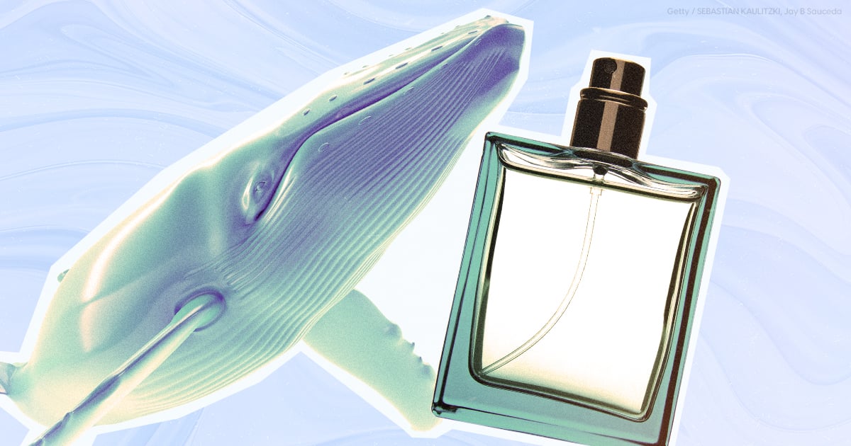 is-whale-vomit-what’s-making-your-perfume-smell-so-good?