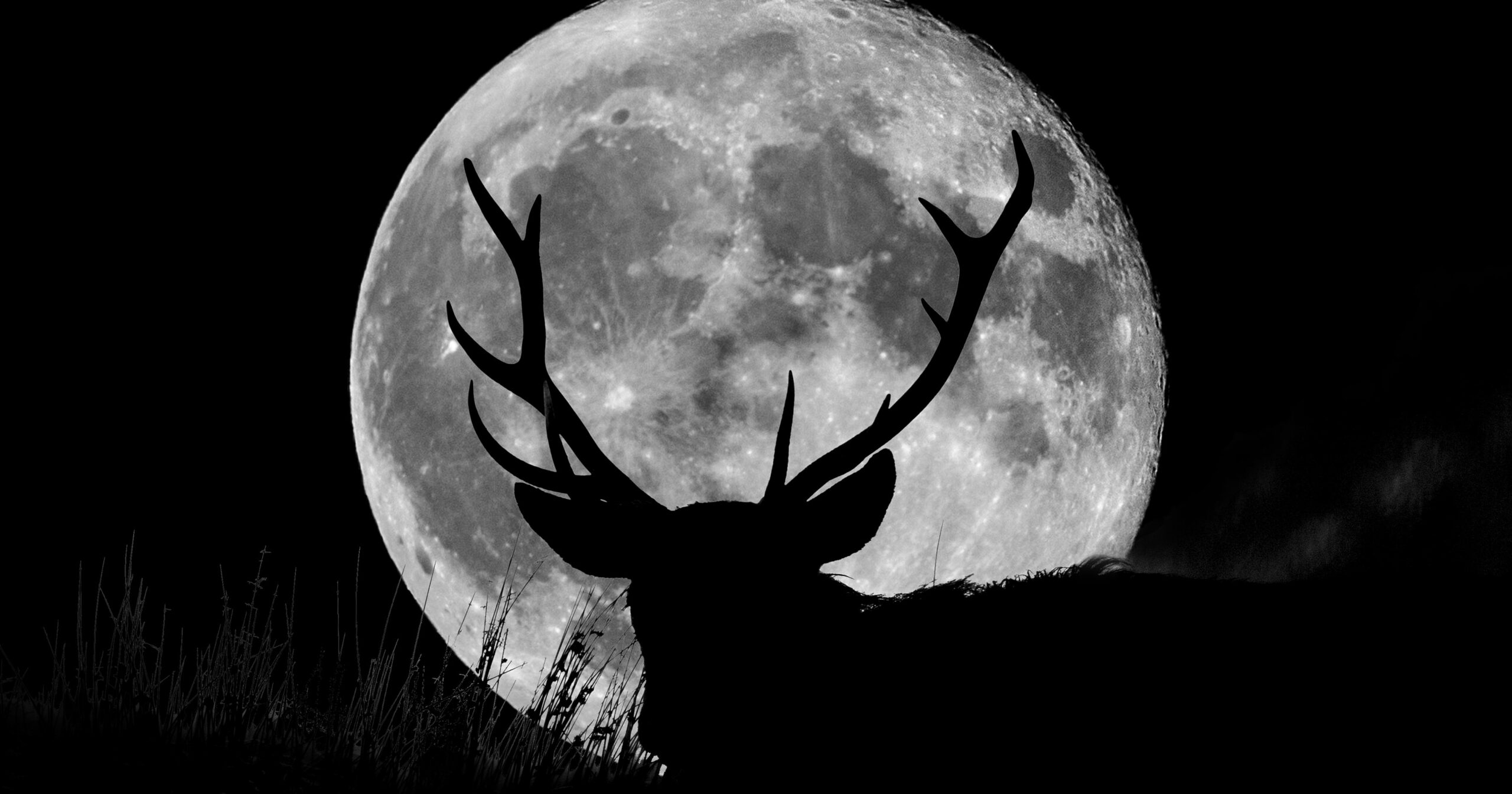 july’s-buck-moon-is-bringing-some-transformative-change-to-your-life