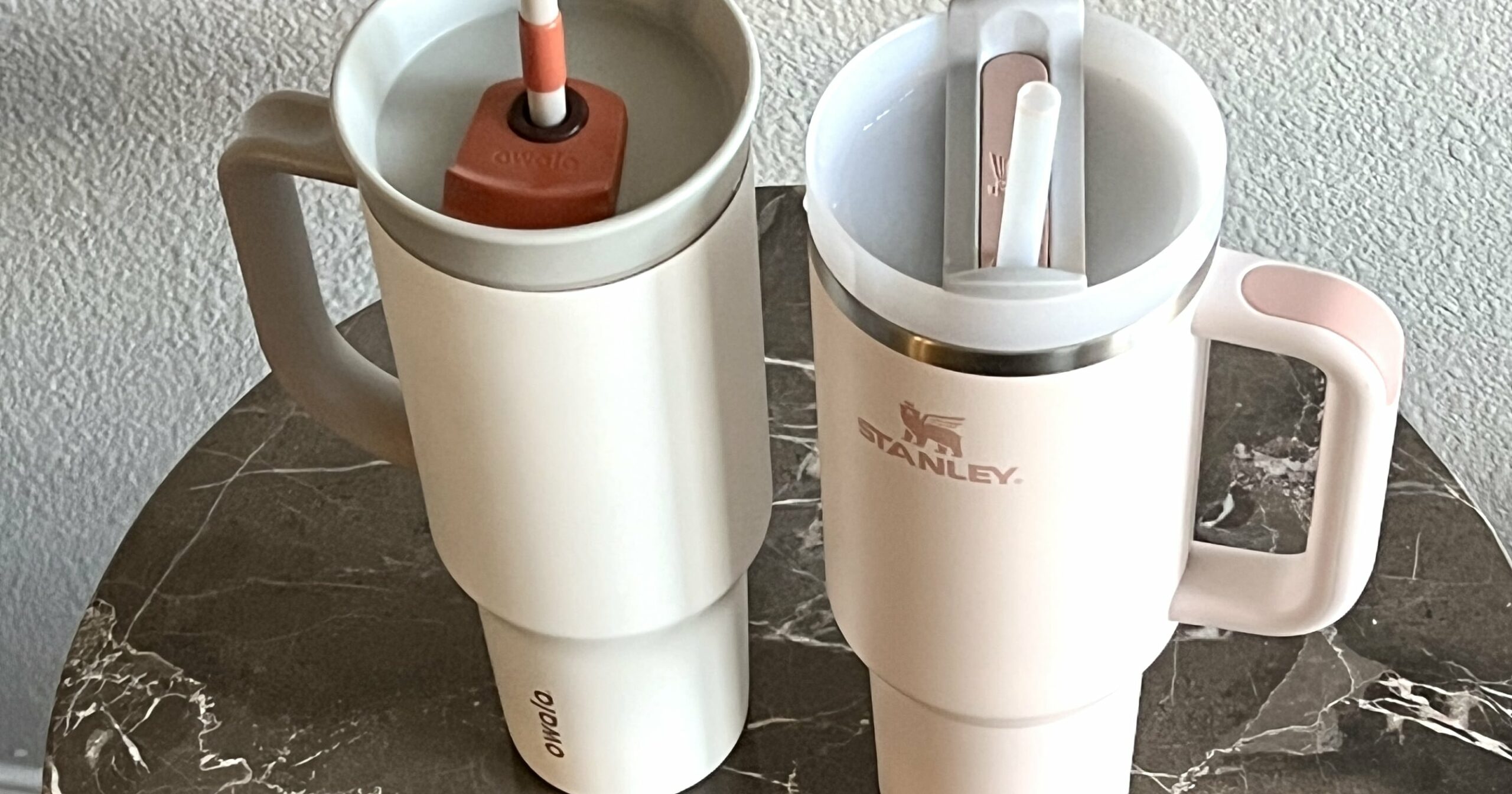 we-tested-the-stanley-and-owala-tumblers-to-see-which-one-keeps-water-colder