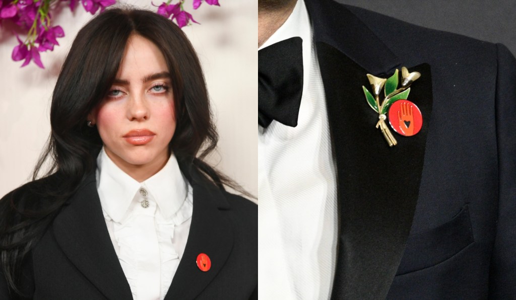 billie-eilish,-ramy-youssef-and-more-stars-wearing-artists4ceasefire-pins-on-oscars-2024-red-carpet, explained