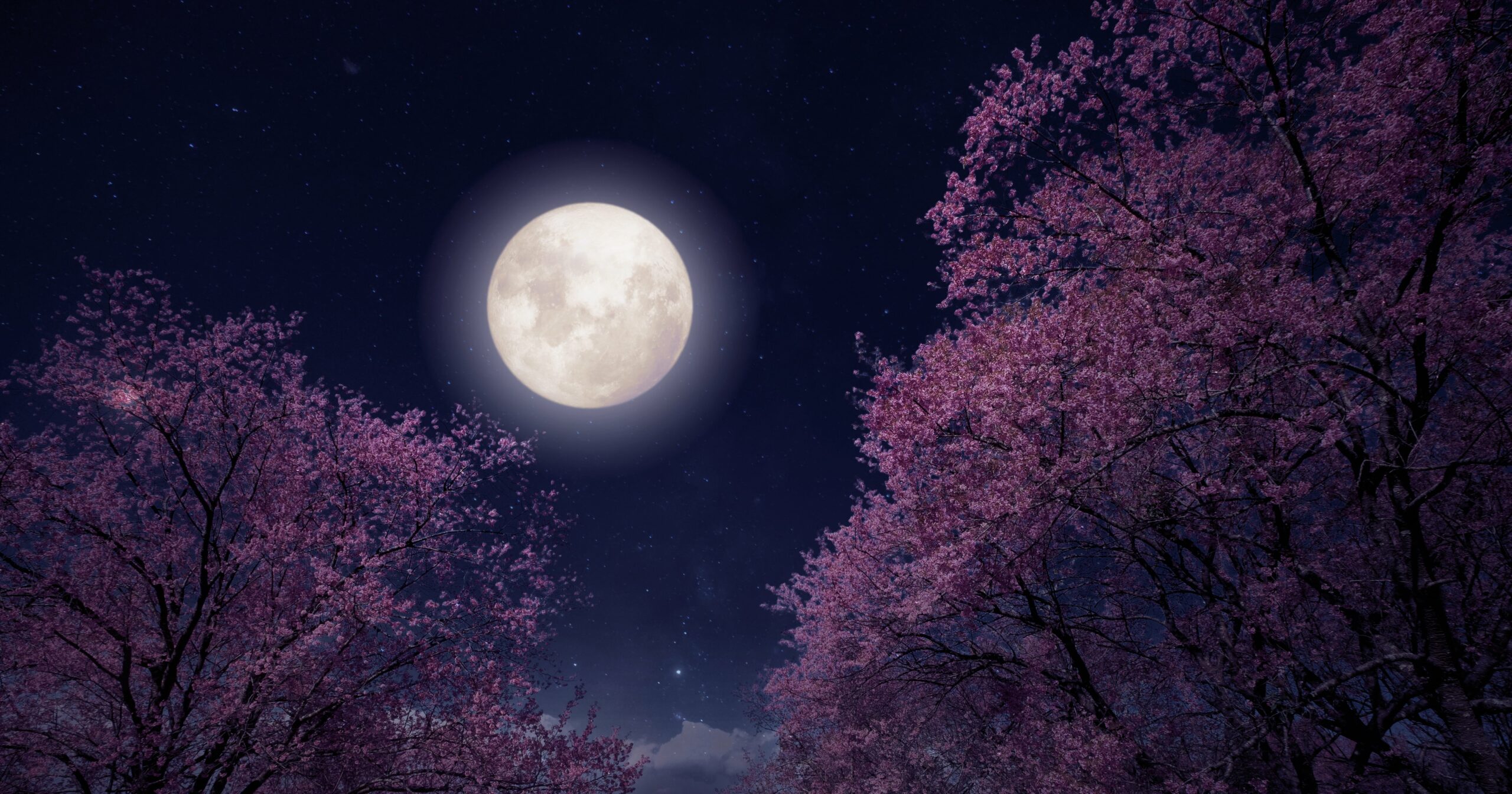 the-spiritual-meaning-behind-may’s-flower-moon,-according-to-an-astrologer