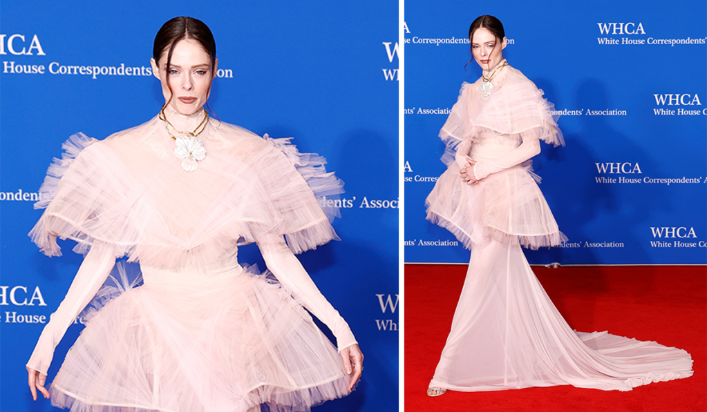 coco-rocha-floats-down-the-red-carpet-in-pink-christian-siriano-gown-at-white-house-correspondents’-dinner 2024