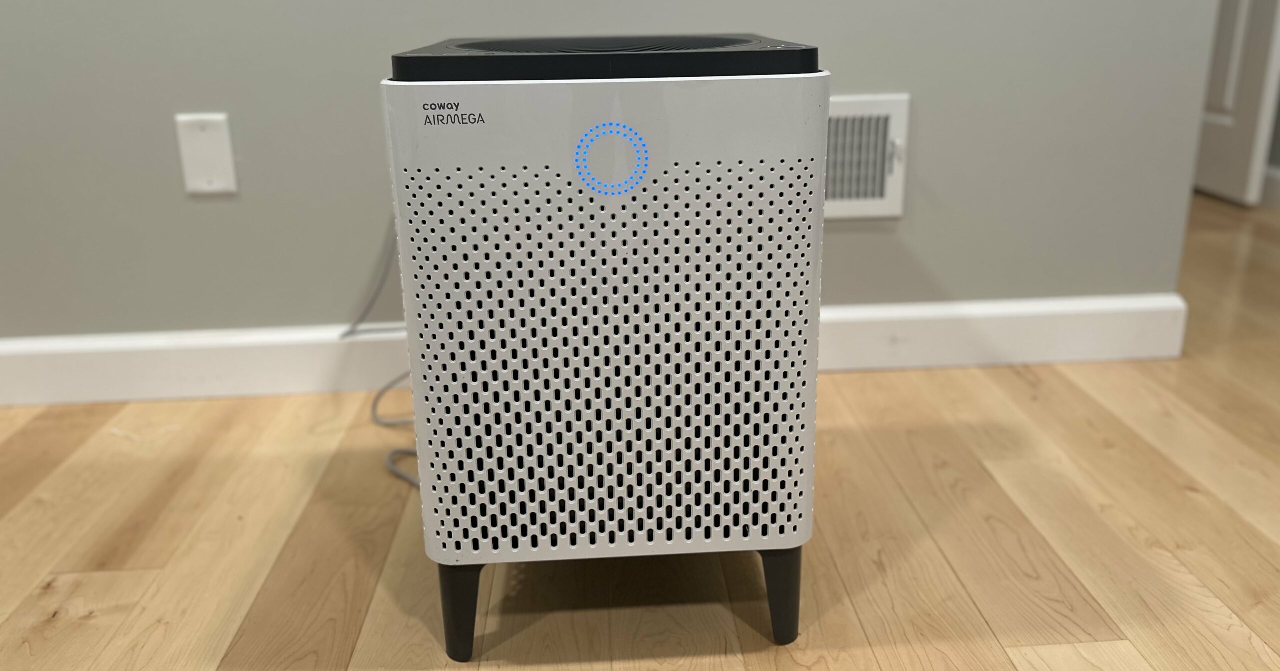 i-have-a-severe-pollen-allergy-and-this-air-purifier-helps-me-breathe-easy