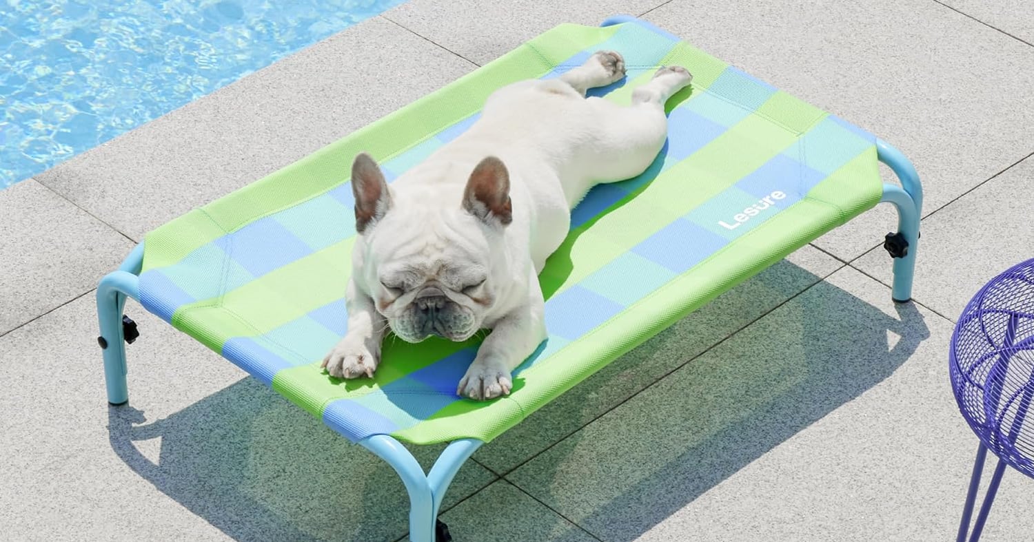 9-elevated-dog-beds-to-help-your-pup-beat-the-summer-heat