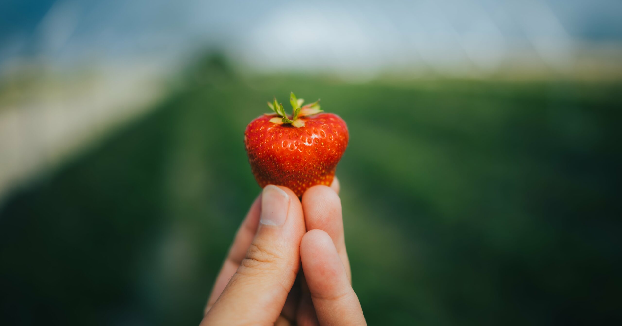 here’s-why-tiktokers-are-asking-their-partners-the-“strawberry-question”