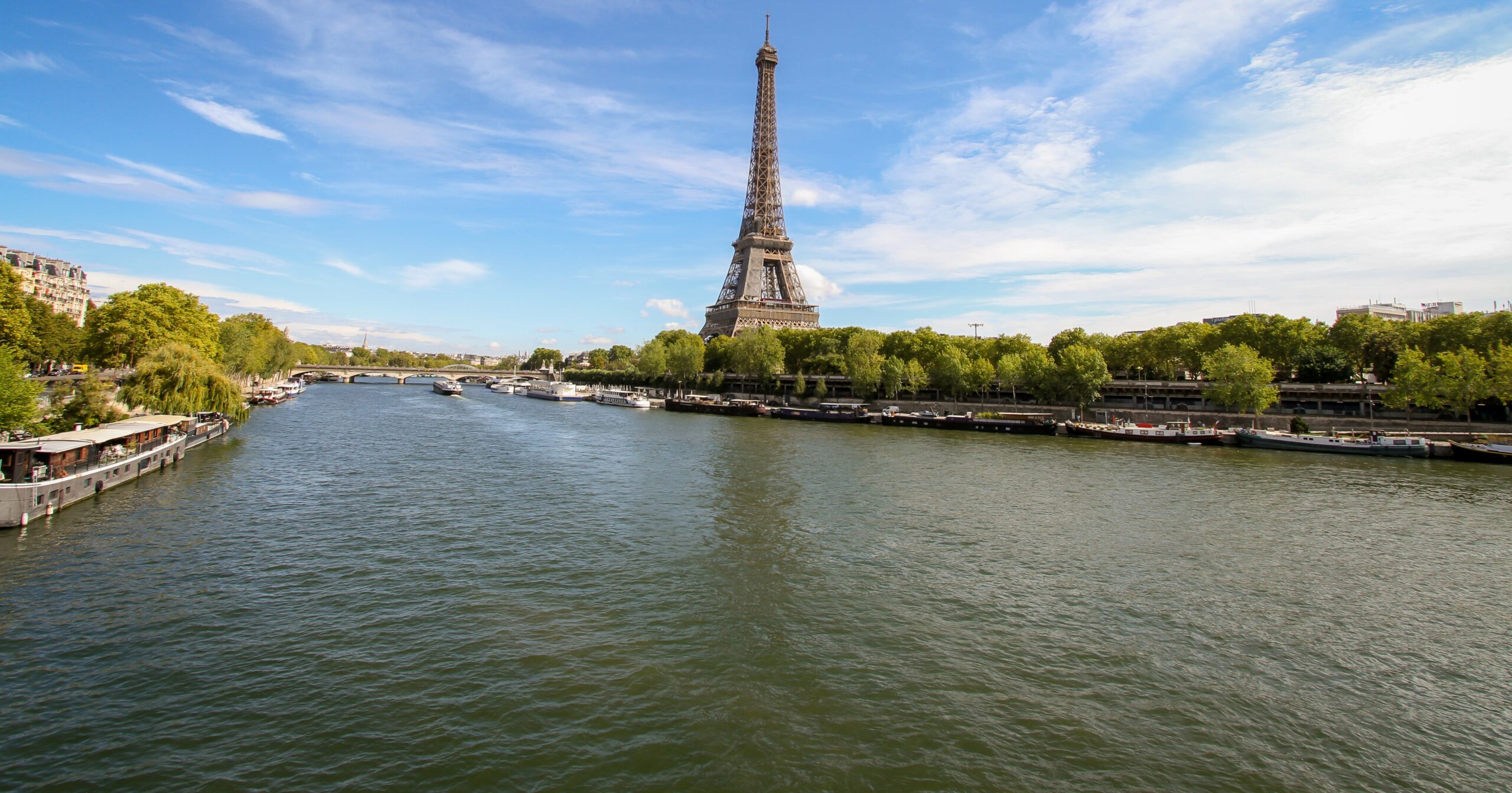 did-the-mayor-of-paris-just-swim-in-poop?