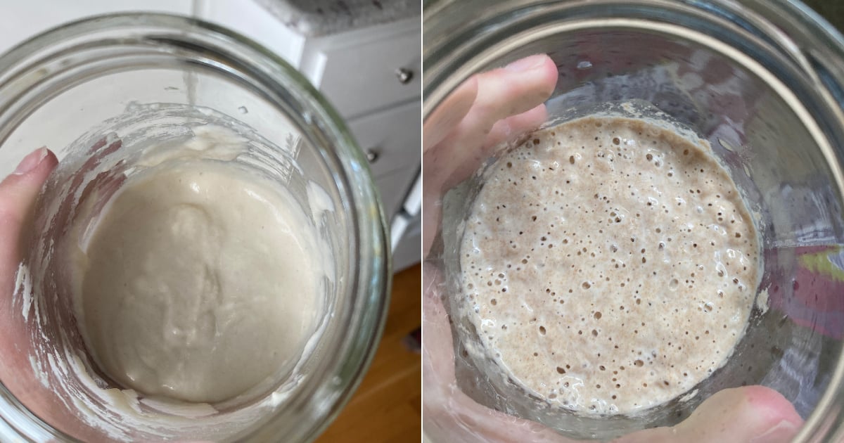 making-a-sourdough-starter-for-the-first-time?-here’s-a-daily-guide