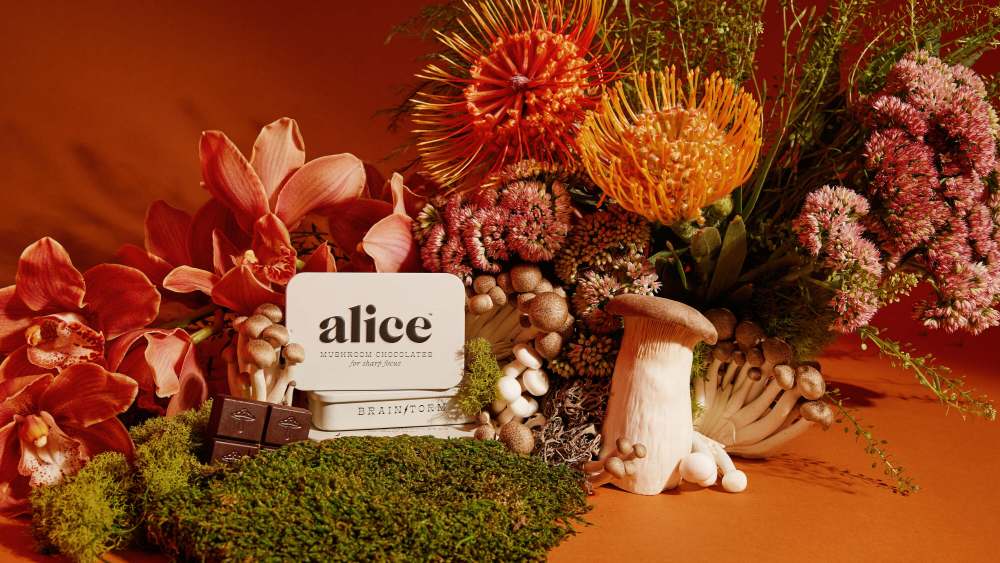 exclusive:-alice-mushrooms-lands-investment-from-l-catterton,-zac-efron,-pedro-pascal-and-kevin hart