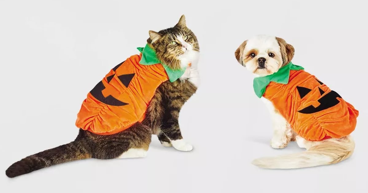 11-pet-halloween-costumes-that-are-guaranteed-crowd-pleasers