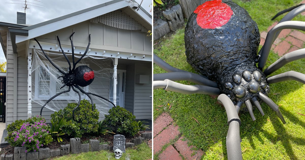 how-to-make-tiktok’s-favorite-diy-giant-spider-decoration