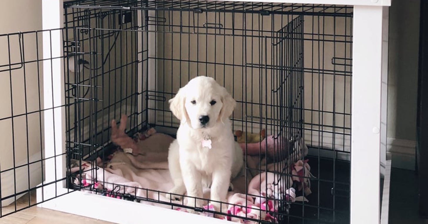 this-diy-dog-crate-furniture-piece-will-transform-your-living-room