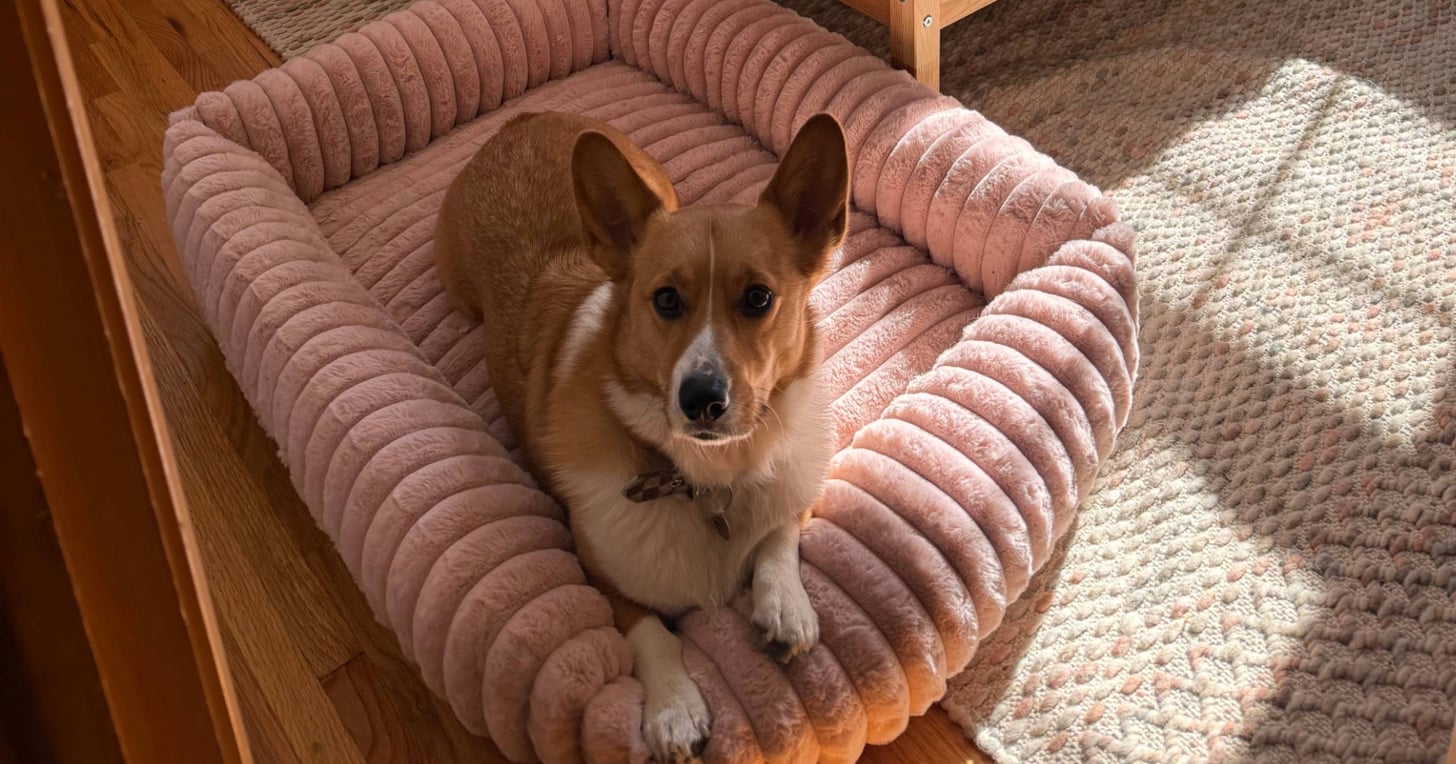 this-chic,-corgi-approved-dog-bed-blends-in-perfectly-with-my-room-decor