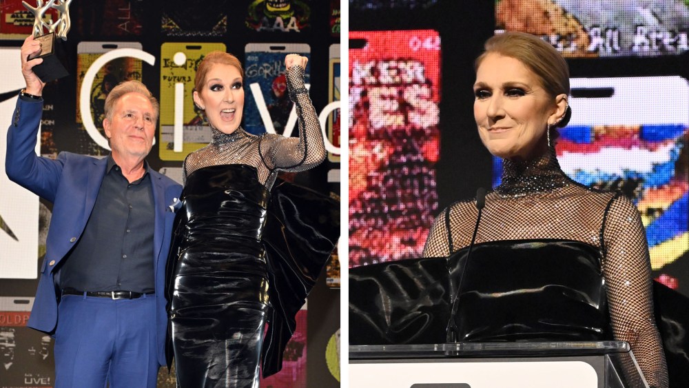 celine-dion-embraces-the-liquid-look-in-sportmax-dress-with-dramatic-bow-at-2024-spirit-of-life gala