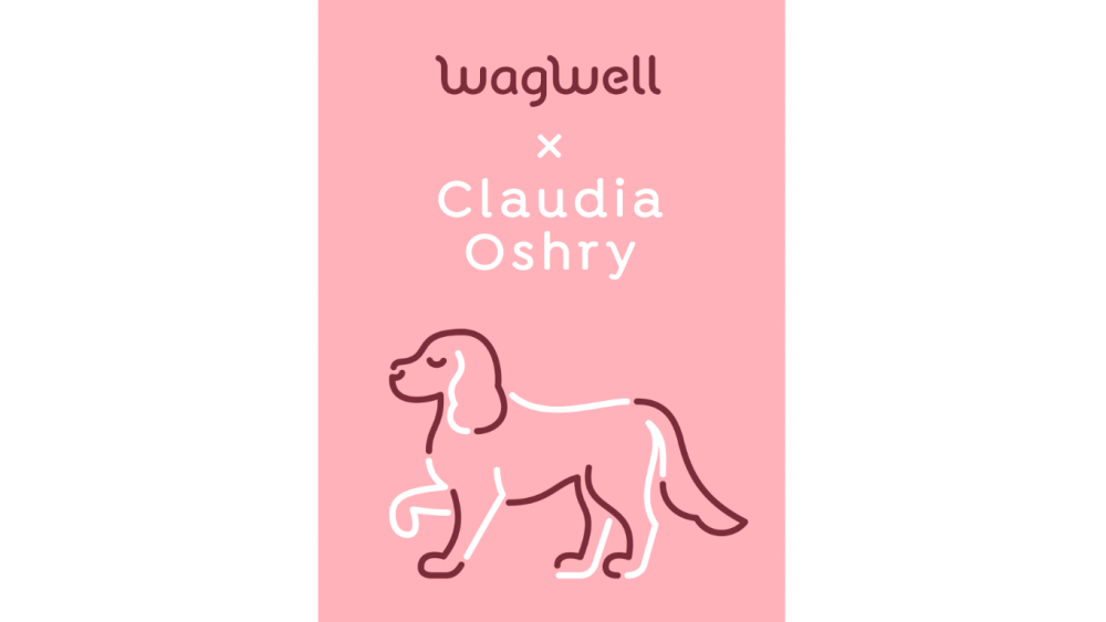 ‘girl-with-no-job’-claudia-oshry-lends-her-humorous-approach-to-wagwell-as-brand ambassador