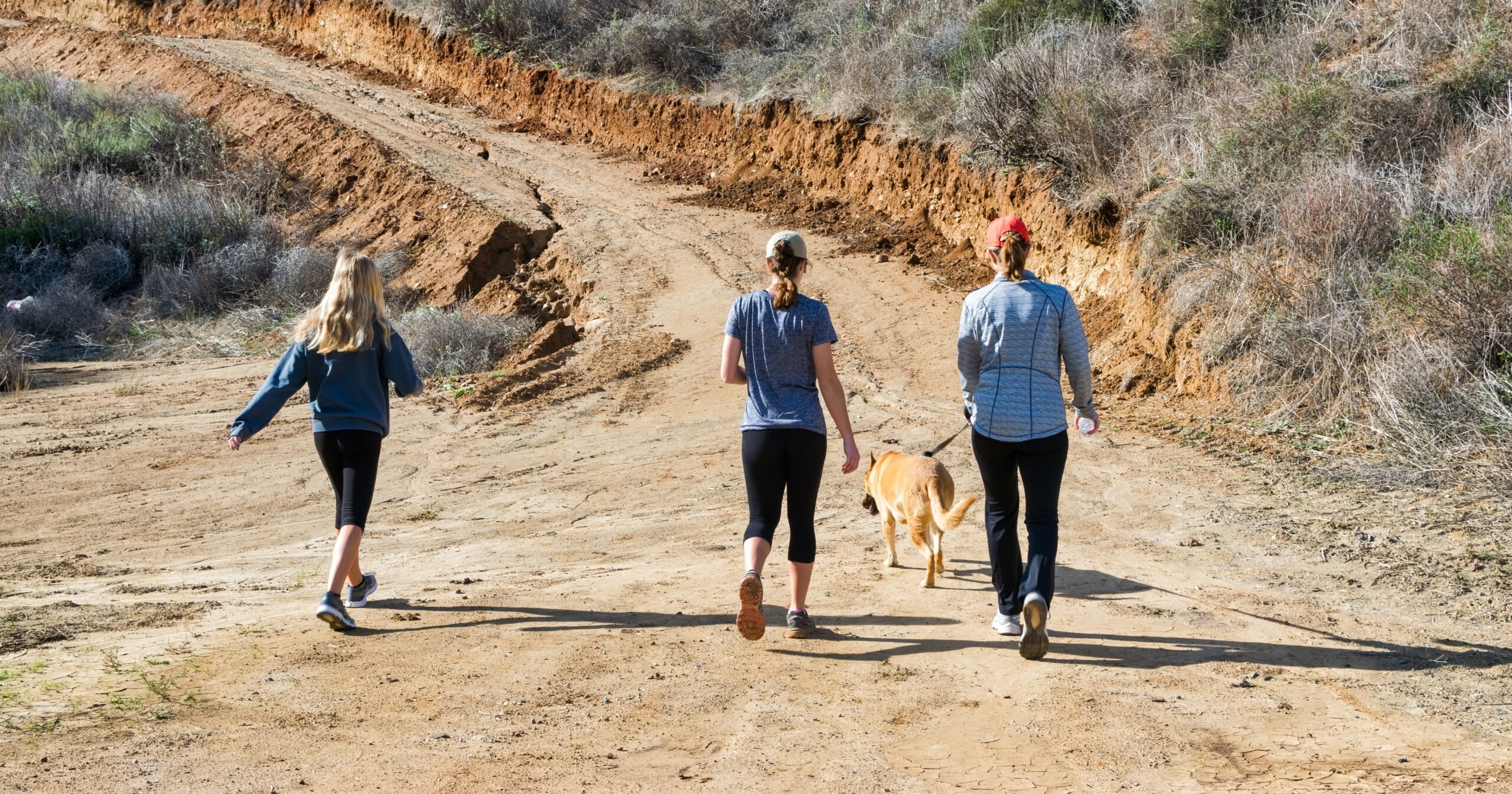 valley-fever-is-spiking,-again-–-here’s-how-to-protect-your-family-and-pets