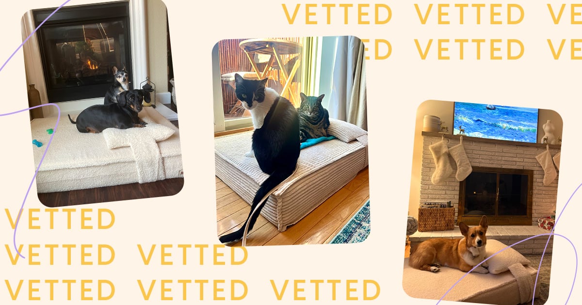 is-this-the-best-pet-bed-ever?-3-ps-editors-and-their-animals-give-it-5-stars