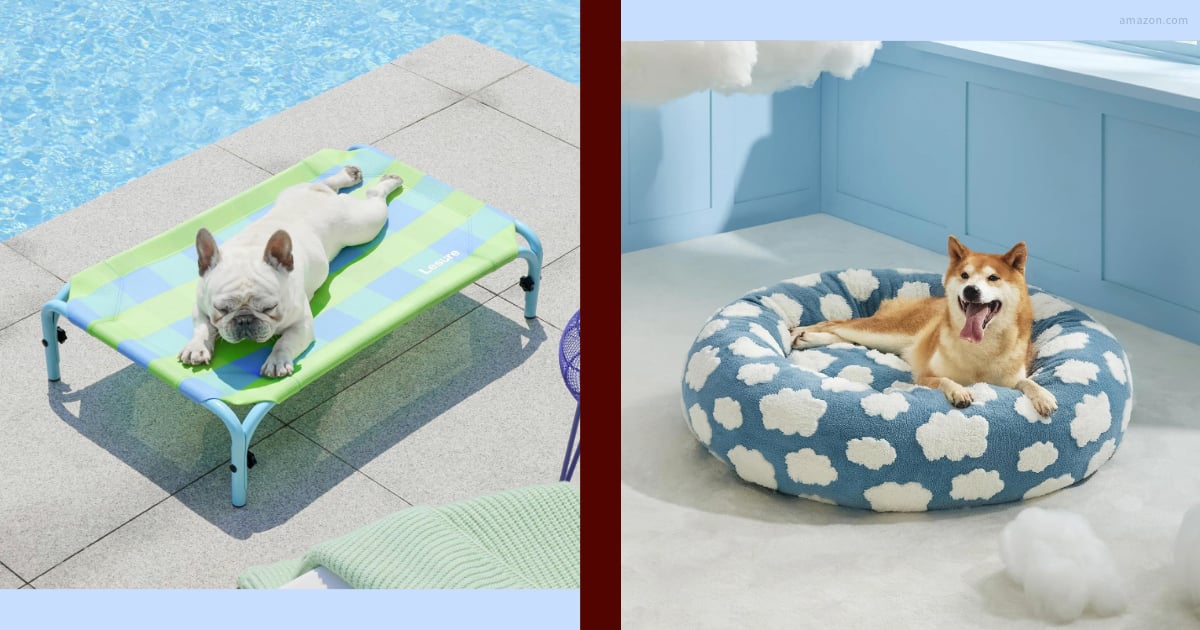 13-amazon-dog-beds-that-will-make-your-pup-feel-like-royalty