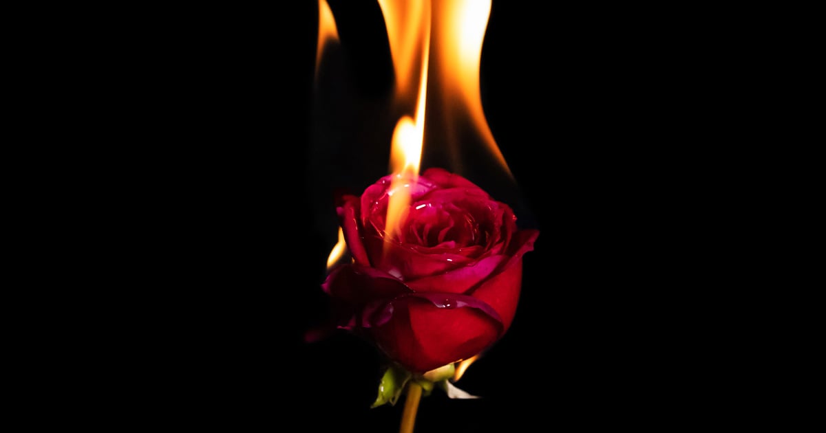 how-“spicy”-books-helped-their-sex-lives