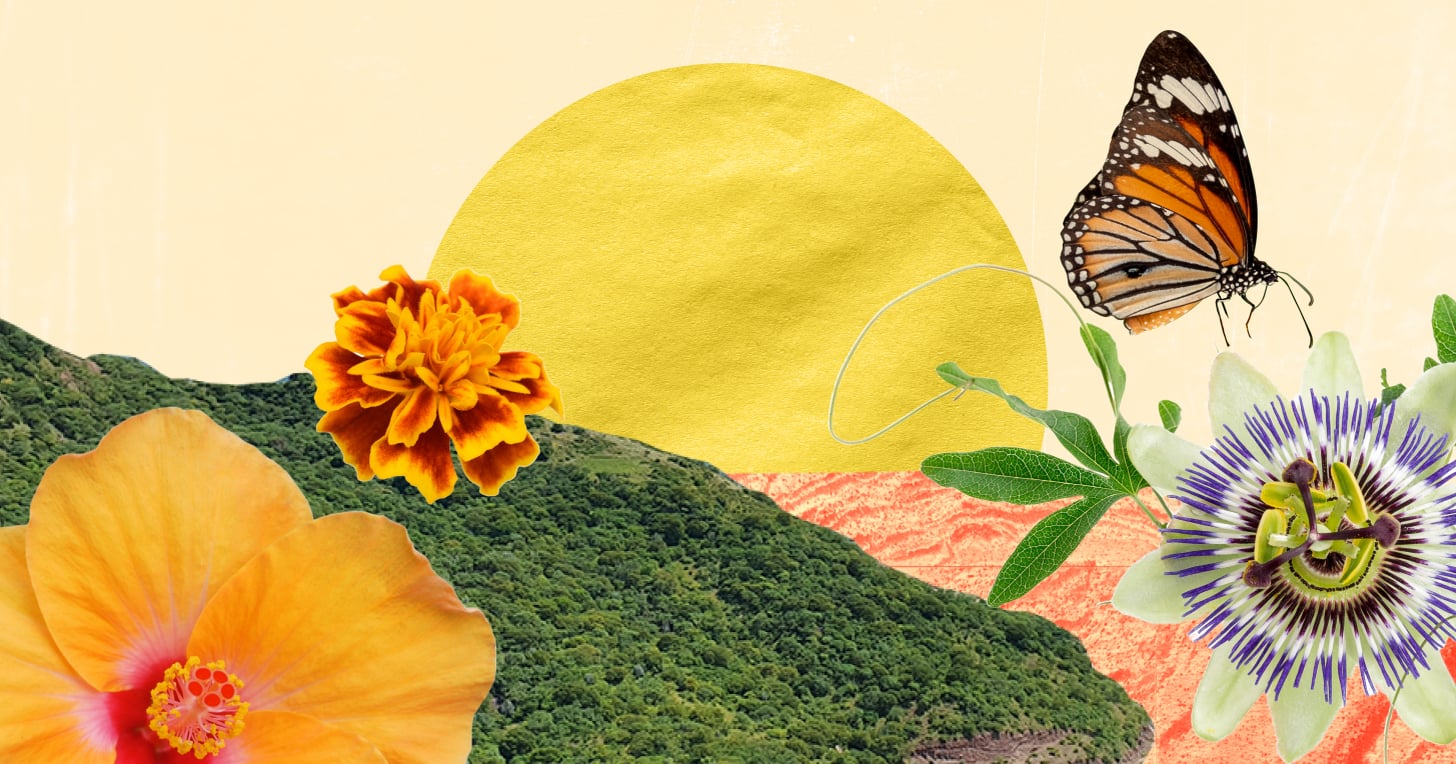 introducing-de-la-editora,-the-latine-newsletter-that-brings-our-community-together