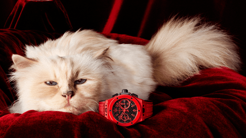 exclusive:-choupette-stars-in-hublot’s-campaign-celebrating-big-bang’s-20th anniversary