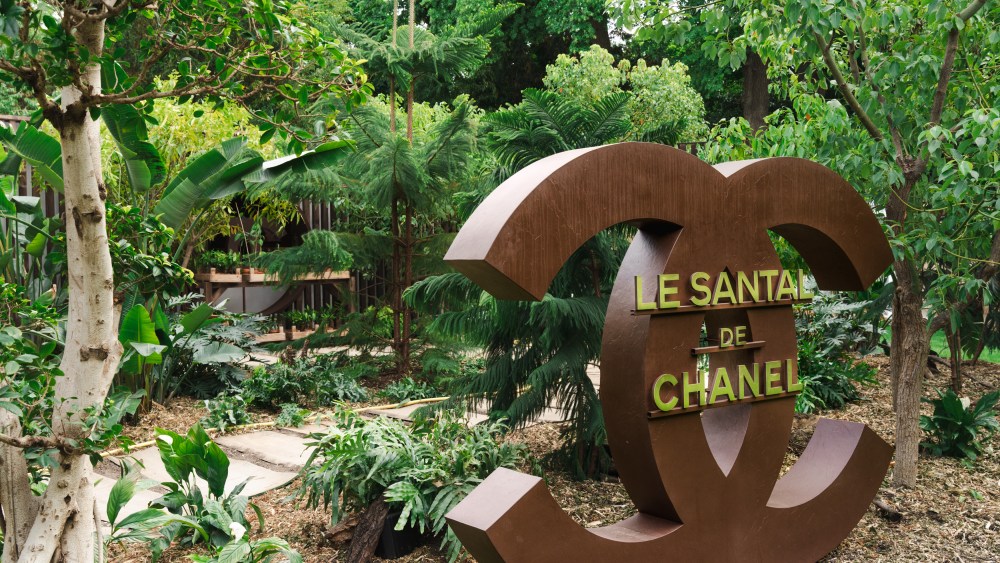 chanel-shines-a-light-on-sandalwood-at-jardins, jardin 