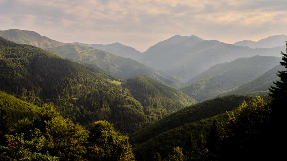zegna-to-bring-environmental-conservation-initiative-to aspen