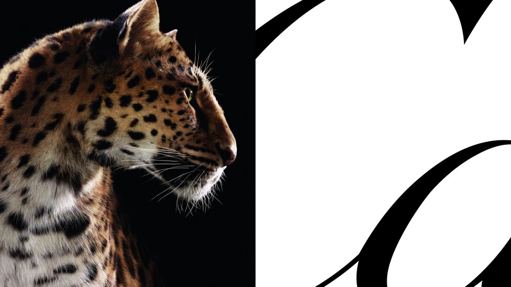 exclusive:-cartier’s-latest-campaign-star-leaps-on-landmarks’-screens