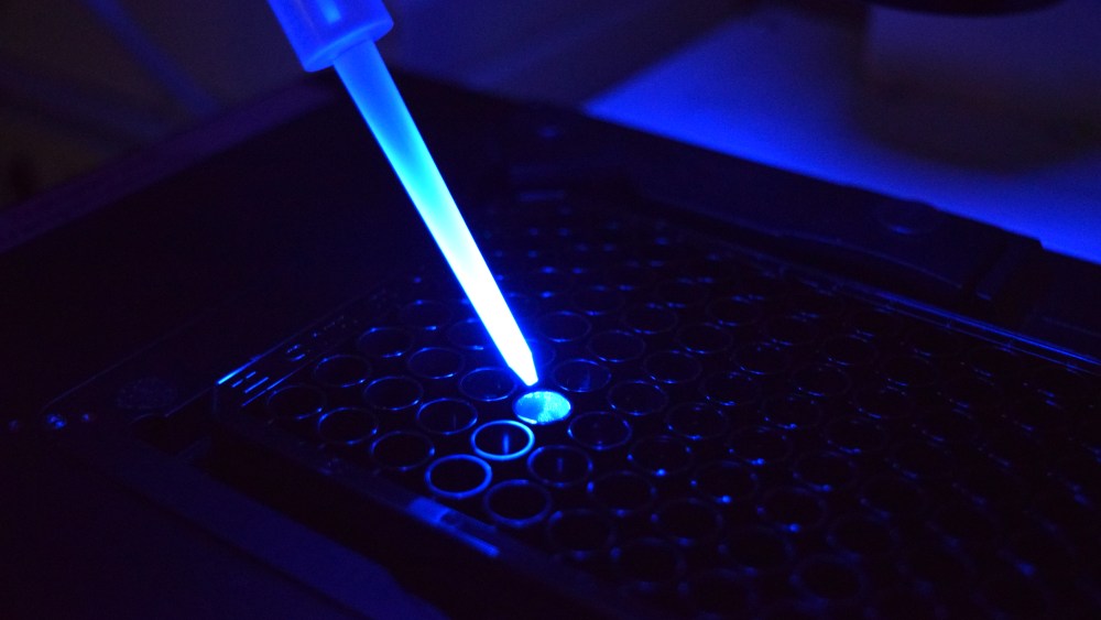 mane-acquires-belgian-biotech company