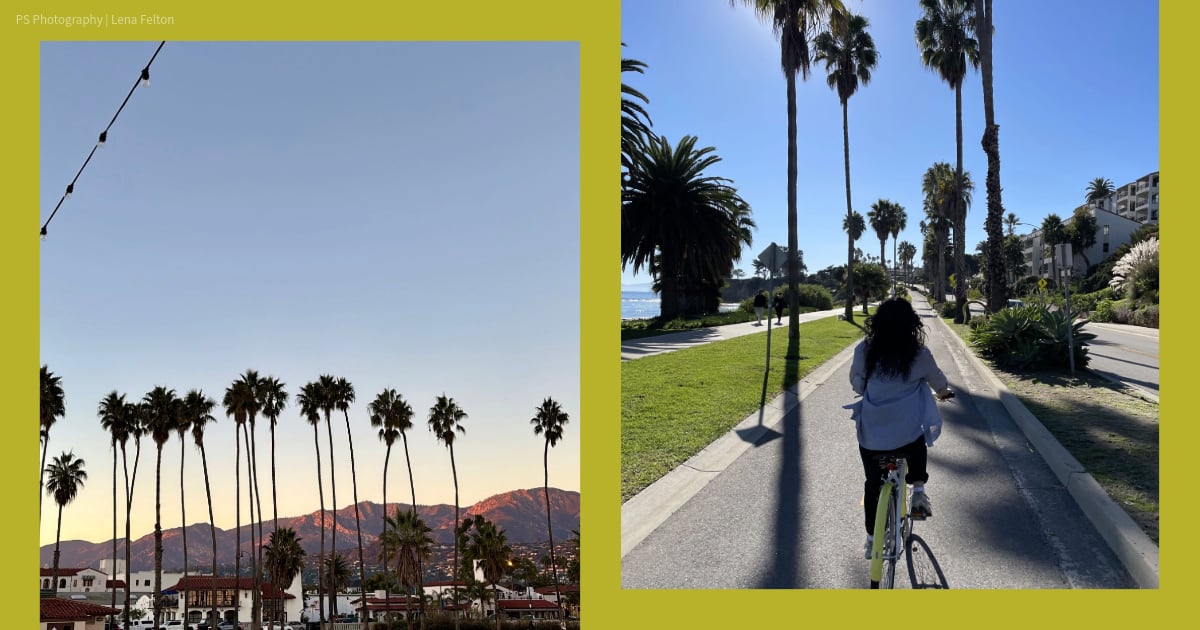 a-“micro-cation”-is-the-bright-spot-you-deserve-this-winter