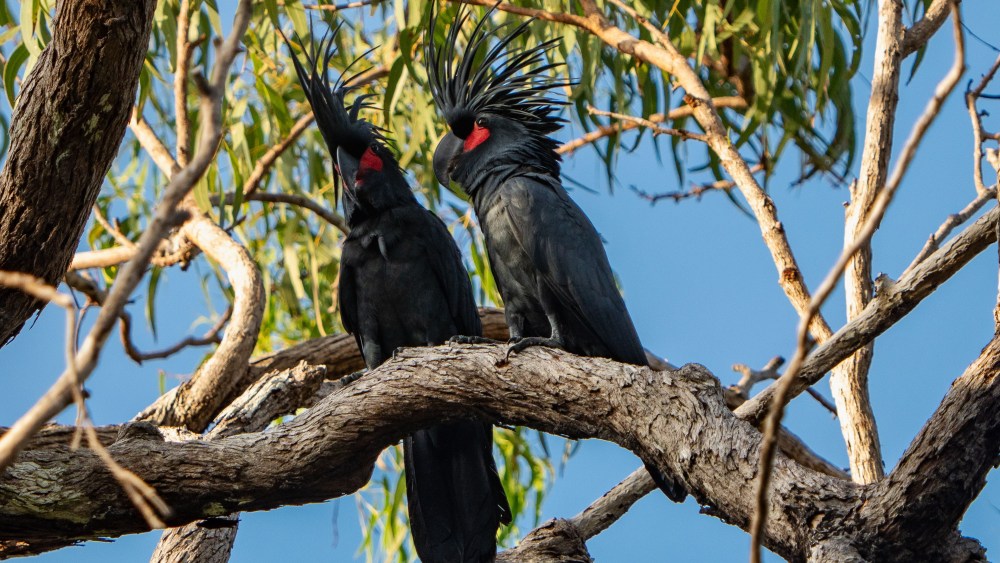 louis-vuitton-sets-2030-‘regeneration’-strategy-with-new-focus-on water