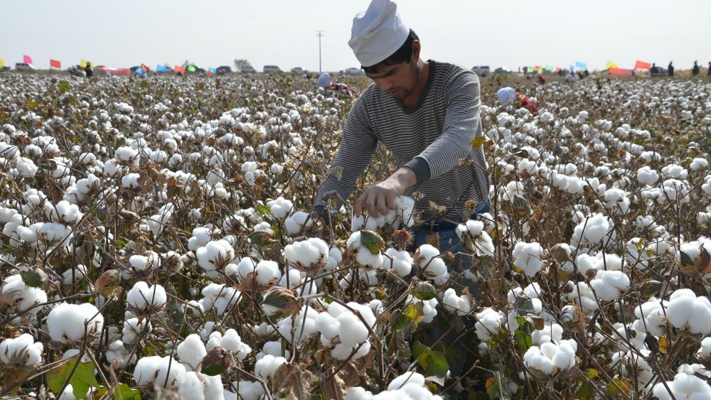 ustr-hears-testimony-in-forced-labor-investigation-that-could-determine-future tariffs