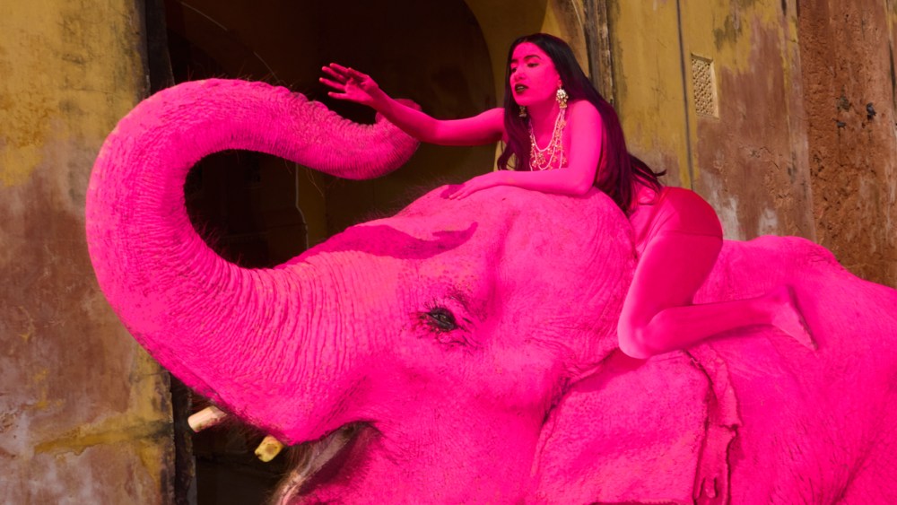 the-photographer-behind-the-‘pink’-elephant-explains-art project