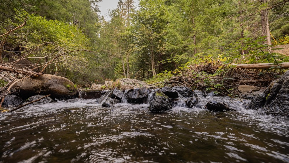 amazon-backs-california-watershed restoration