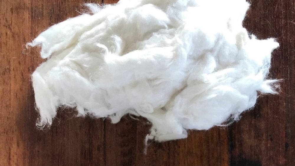 panda-biotech-supports-india’s-first-fully-integrated-hemp-fiber-to-yarn-supply-chain ecosystem