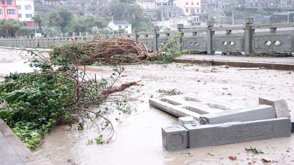 shanghai,-ningbo-ports-reopen-after-typhoon-bavi shutdowns