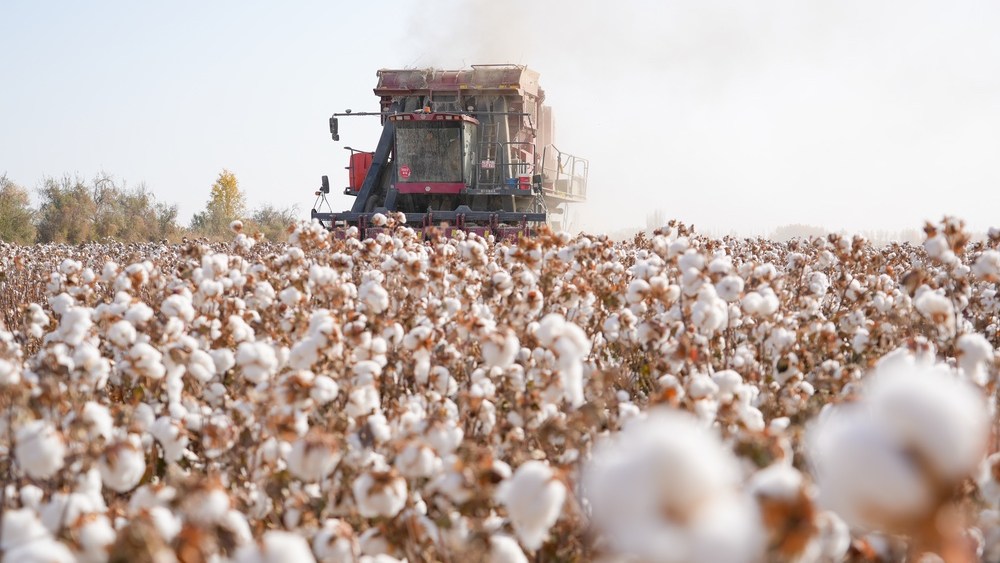 china-calls-uflpa-list-expansion-a-‘classic-act-of-economic coercion’