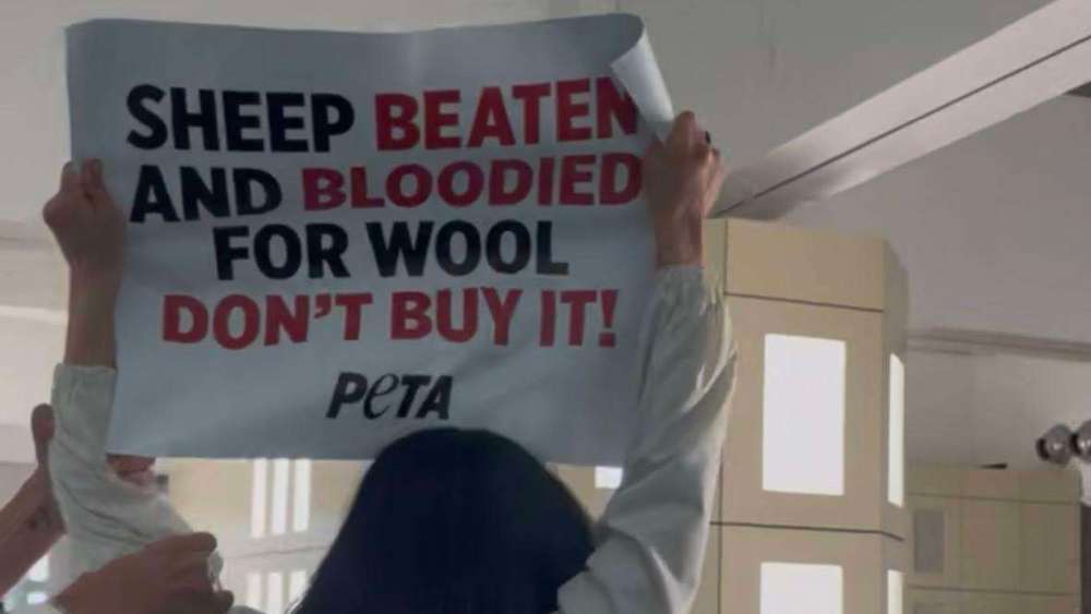peta-activists-plan-to-file-police-report-against-cfda-ceo-steven-kolb,-seen-restraining-them-during-cos’-runway show