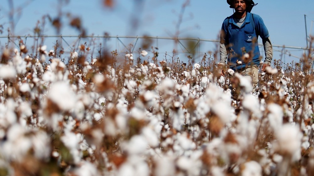 cotton’s-next-traceability-tool-is-an-old-one:-knowing-your farmer