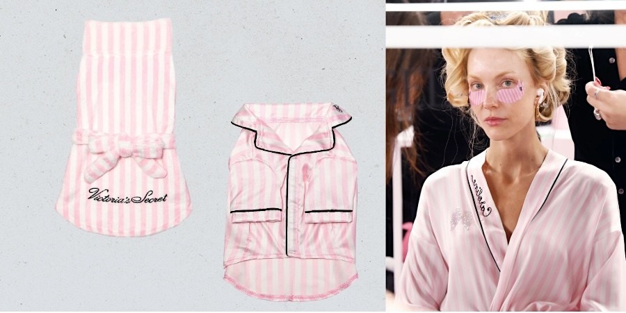 wings-and-wags:-victoria’s-secret-drops-fashion-show–inspired-collection-for pets