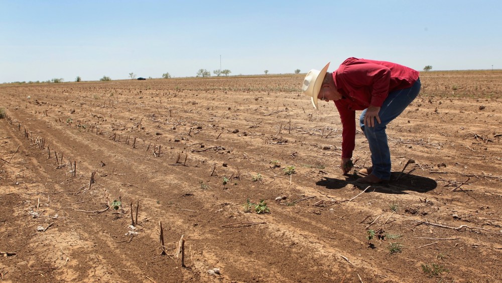 new-rules-for-building-resilient-cotton-into-supply chains