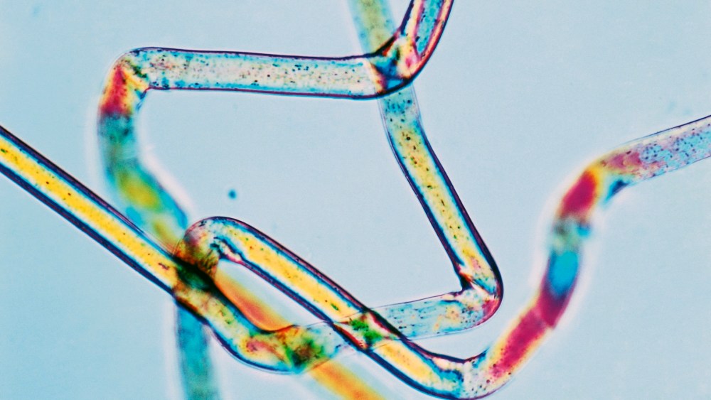 material-world:-microplastics,-merino-and more